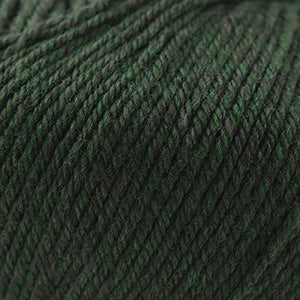 100g skein of worsted weight superwash wool yarn in Shire green