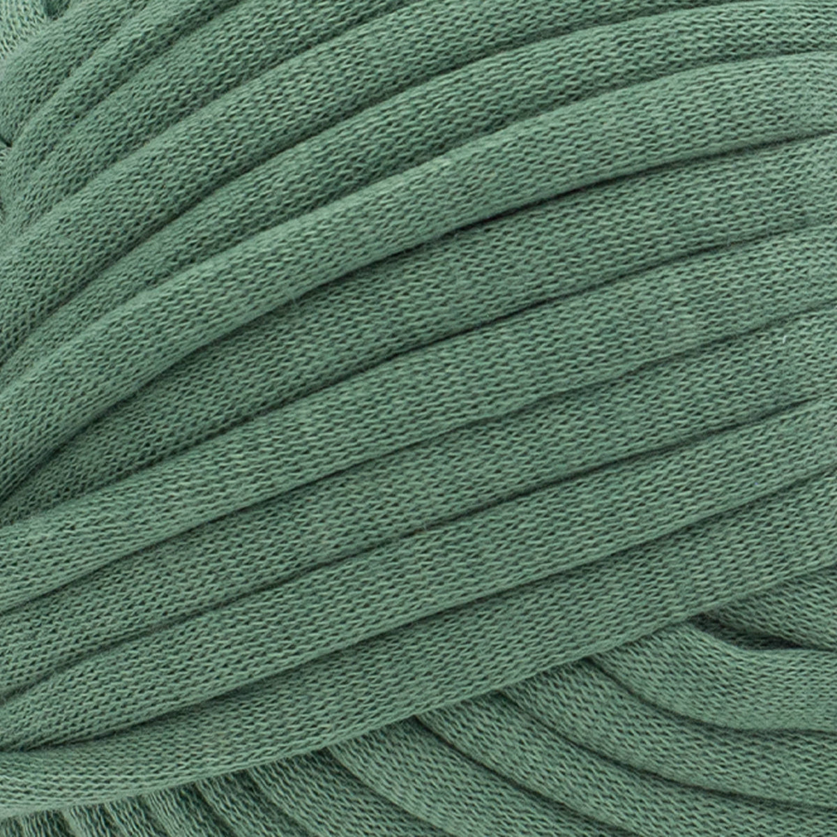 Lion Brand Yarn Cover Story Lazy Days T&Q  1 Pack