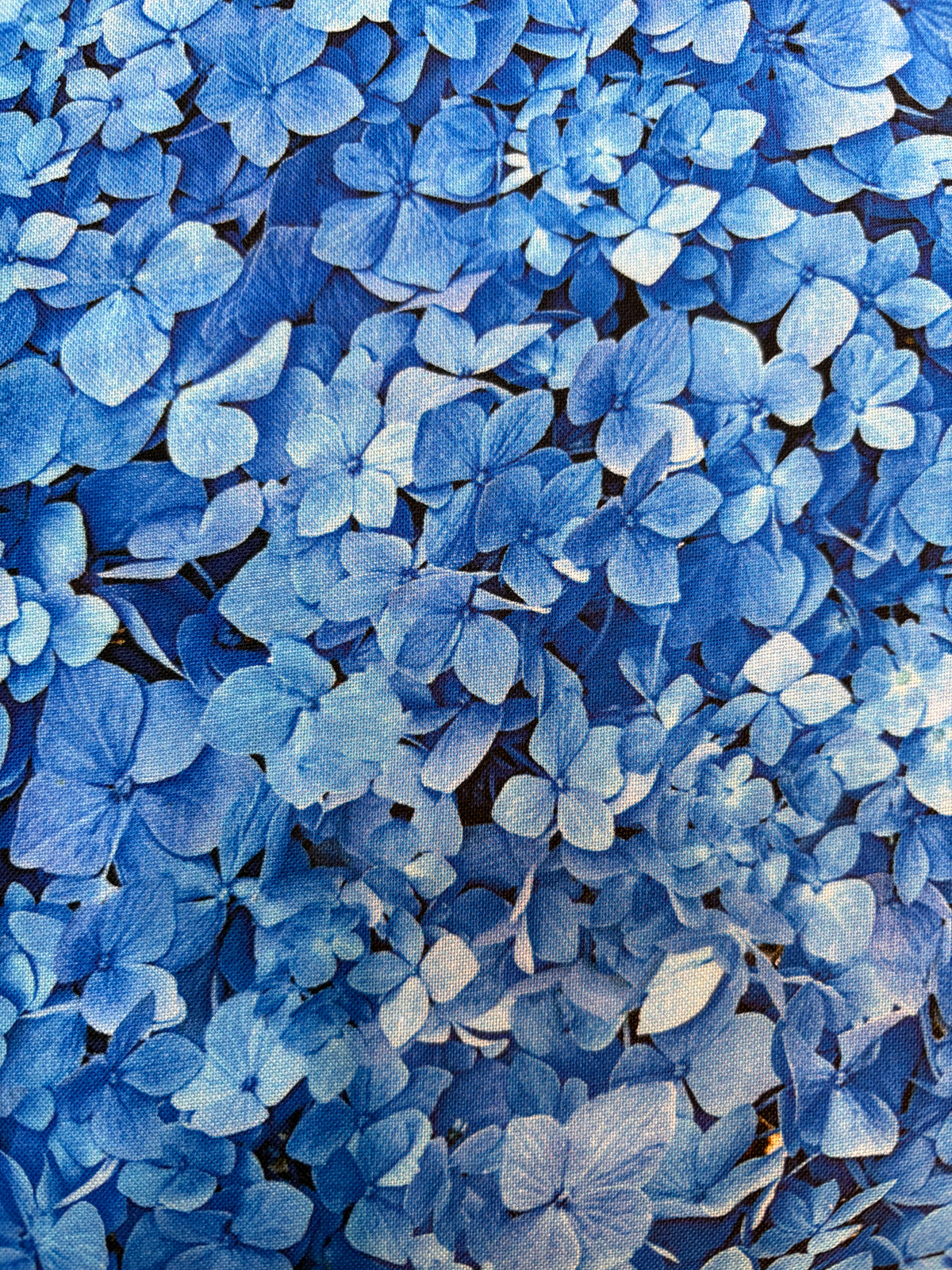 Maywood Studio Blue Sea of Dreams 108in