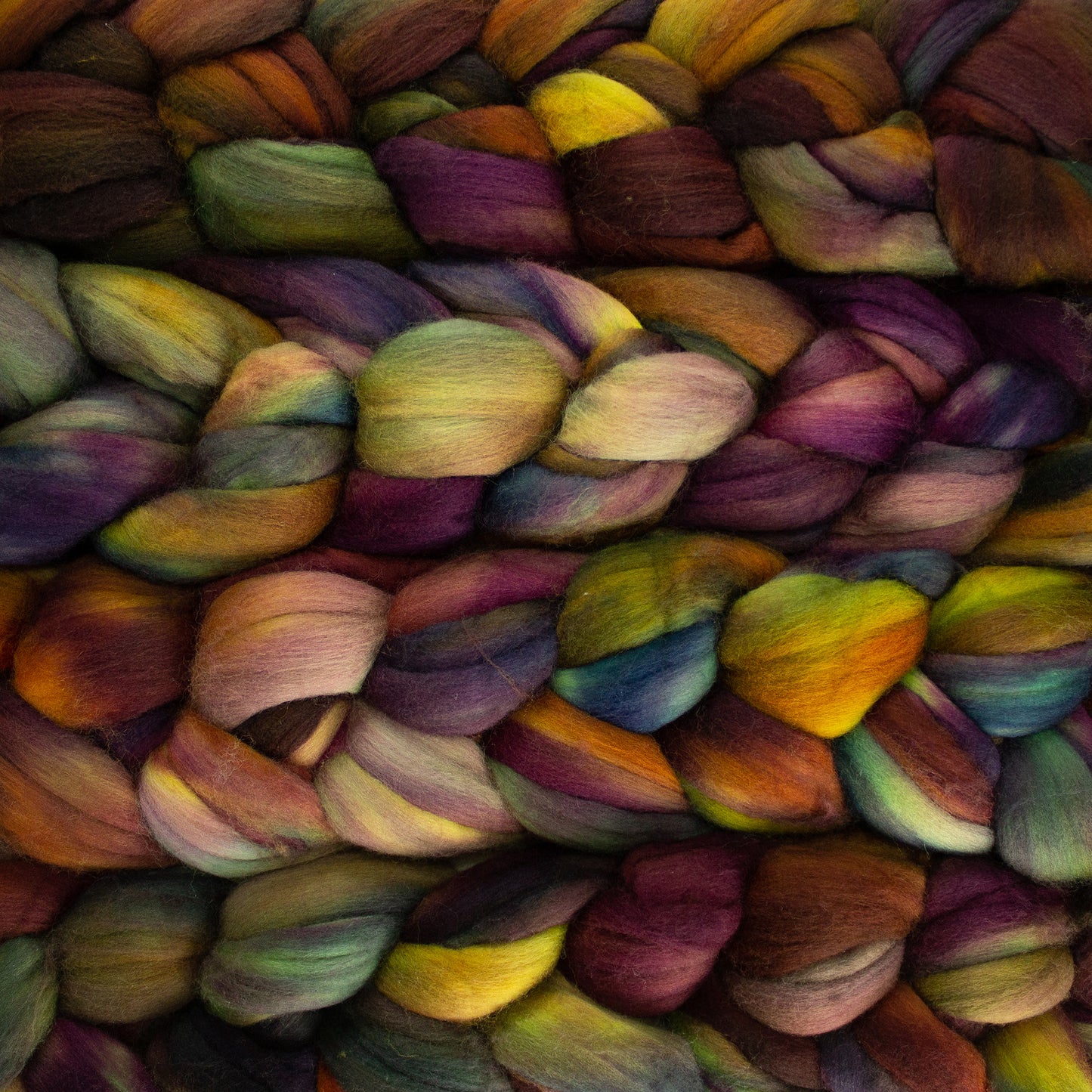 4 oz braid of unspun merino wool top in the Petrichor colorway, purple/green/yellow/blue/orange/brown roving hand dyed