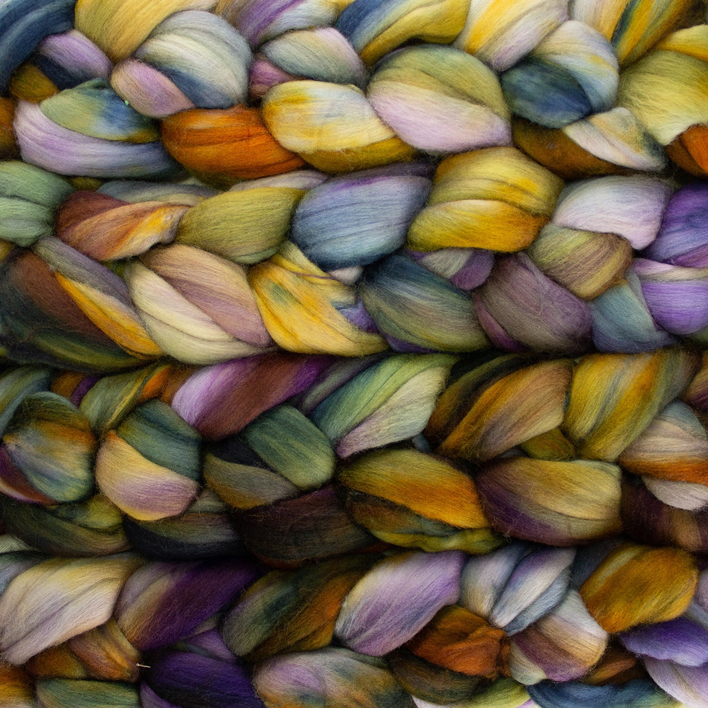 4 oz braid of unspun merino wool top in the Mandragora colorway, blue/purple/yellow/brown/orange/green roving hand dyed